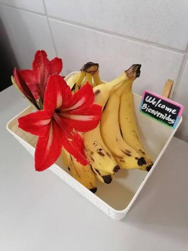 Makanan di atau berdekatan apartmen