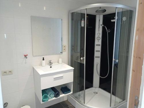 La salle de bains est pourvue d'une douche, d'un lavabo et d'un miroir. dans l'établissement Le Route 80, à Namur