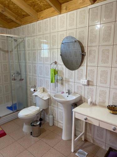 a bathroom with a toilet and a sink and a shower at Cabañas La Plaza in Bahía Murta