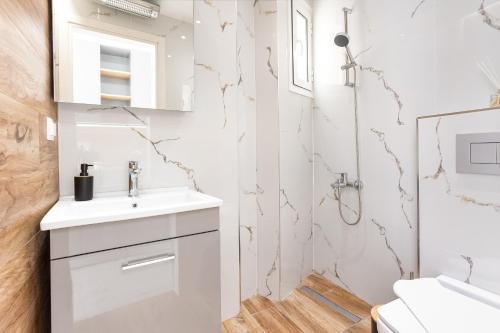 New Glamorous Apartment in Downtown