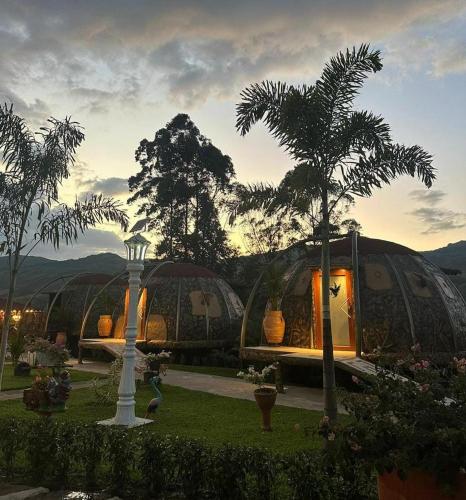 a house with a palm tree in front of it at Eco glamping Santillana in Charalá