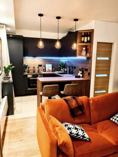un salon avec un canapé et une cuisine dans l'établissement Paris center - Beautiful & cosy flat, à Paris