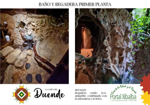a collage of two pictures of a tree at Portal Xibalba in Playa del Carmen