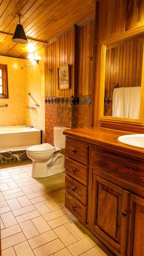 a bathroom with a toilet and a sink and a tub at Los Quetzales Ecolodge & Spa in Cerro Punta