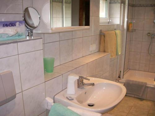 een badkamer met een wastafel, een spiegel en een douche bij Holiday home Kobel in Elmstein