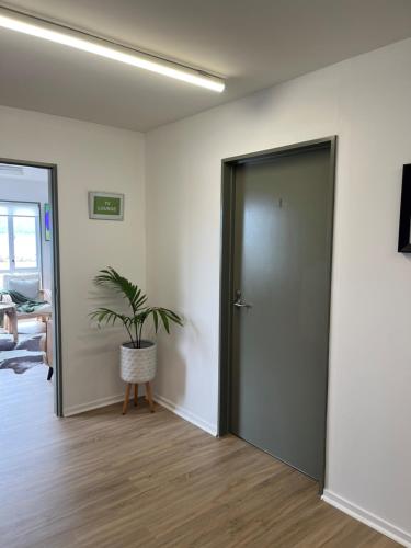 an empty room with a door and a potted plant at Kaikoura Seaside lodge in Kaikoura