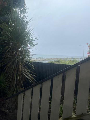 a fence with a palm tree in the background at Kaikoura Seaside lodge in Kaikoura