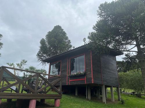 a small wooden house on a grass field at Chalés incríveis com banheira de hidromassagem e vista encantadora in Urubici