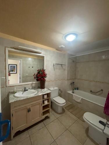 La salle de bains est pourvue d'un lavabo, de toilettes et d'une baignoire. dans l'établissement Sunny apartament, à El Guincho