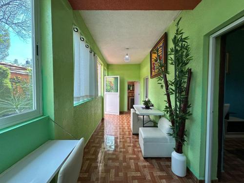 a hallway with green walls and a table and a plant at Depa 2 recamaras Coyoacán in Mexico City
