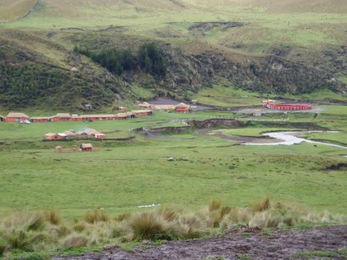 a green field with a herd of animals in it at Hacienda Yanahurco in Ovejería