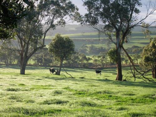 Φωτογραφία από το άλμπουμ του Bellevue Farmstay σε Scotts Creek