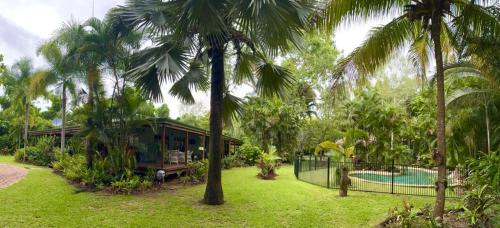 een huis in het midden van een tuin met palmbomen bij Paperbark Retreat in Cooktown