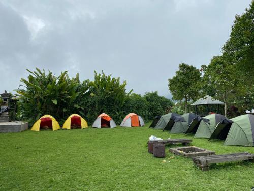 a group of tents in a field with grass at Bali Strawberry Glamping and Camp Bedugul in Tabanan