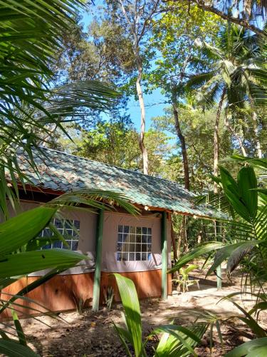 a small house in the middle of the forest at Fully Furnished FAMILY JUNGLE TENT, Latino Glamping Paquera in Paquera