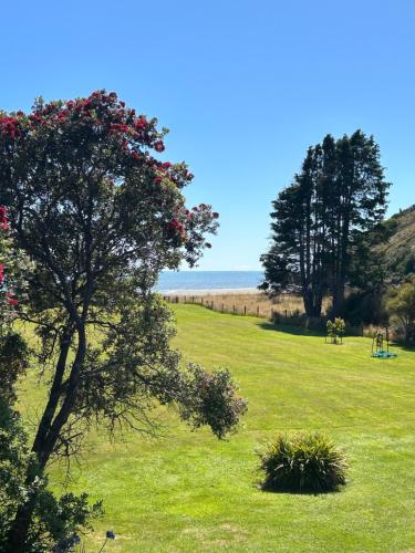 a field with a tree and the ocean in the background at Summerspring Beachfront Accommodation in Takaka
