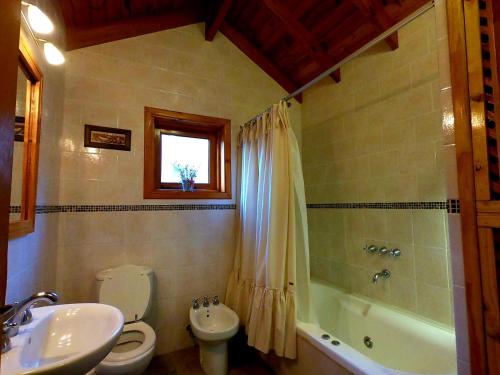 uma casa de banho com um lavatório, um WC e um chuveiro em Casas Nahuilen em San Martín de los Andes