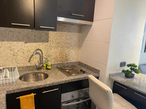 a kitchen with a sink and a counter top at Atalaya Apartment Suite in Santiago