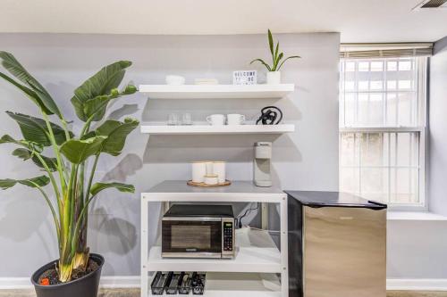a kitchen with a toaster oven and a plant at Spacious Suite in Deanwood + Free Parking in Washington, D.C.