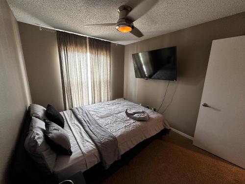 1 dormitorio con 1 cama y TV de pantalla plana en Cozy 3 bedrooms home close to everything in Tampa! en Tampa
