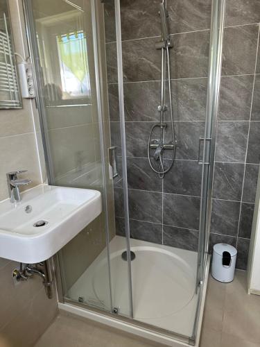 a bathroom with a shower and a sink at Ein Zimmer Wohnung am Markt in Oelsnitz