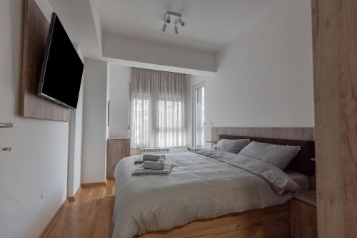 1 dormitorio con 1 cama grande y TV de pantalla plana en Luxury Apartment Adrianna 2, en Skopje