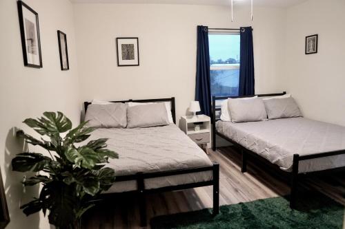 a bedroom with two beds and a plant in it at Jay's Cozy Escape in Tampa