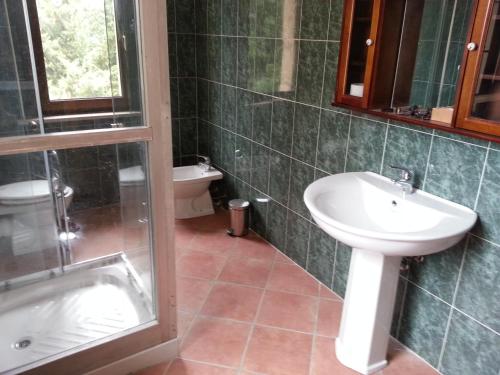 a bathroom with a sink and a shower and a toilet at B&B La Viola in Castelvetro Piacentino