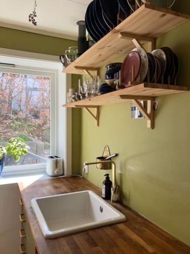 un bancone della cucina con lavandino e finestra di Cosy aparment in Bergen a Bergen