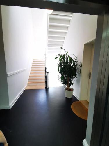 SC 07 by ROCKCHAIR Apartments l SUPERHOST Status l 2,5 Bedrooms Boxspringbeds Balcony Elevator welcomes you! photo 31