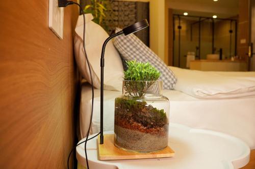 a lamp on a table with a plant in a glass jar at 松玉枫民宿 in Guiyang