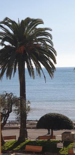 two palm trees on a beach with the ocean at Acquamarina in Rapallo