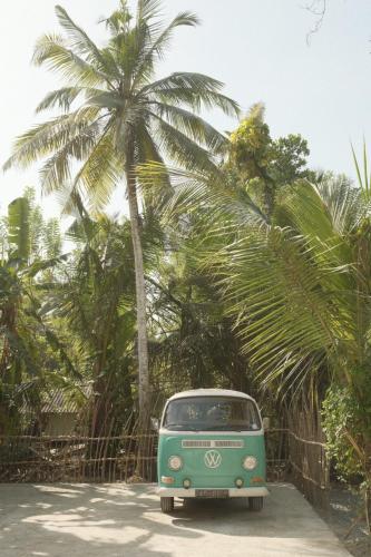 an old green van parked in front of palm trees at Terra Resort in Ahangama