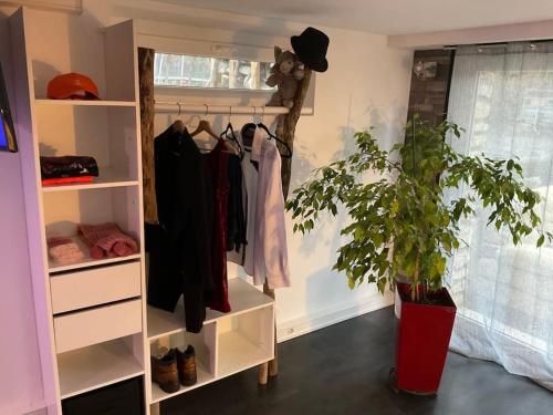 Cette chambre dispose d'un placard avec une plante. dans l'établissement Logement 4 personnes avec cuisine équipée et parking clos, à Mouroux