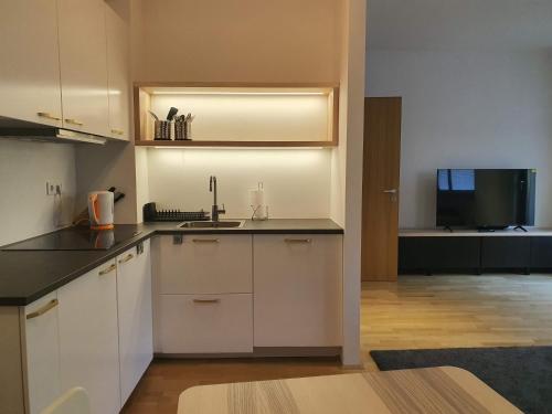 a kitchen with white cabinets and a sink and a television at Apartma Oskar Mariborsko Pohorje in Hočko Pohorje