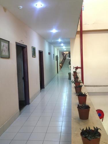 a hallway in a building with potted plants at Hotel Indsurya in Dibrugarh