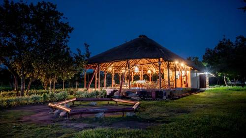 um gazebo iluminado num campo à noite em Mama Washindi Lodge em Pakwach East