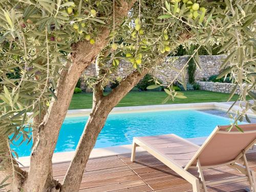 a chair and a tree next to a swimming pool at Bastide La Mérigot - Maussane-les-Alpilles in Maussane-les-Alpilles