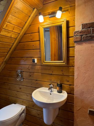 カルパチにあるBelwederek Karpaczのバスルーム(洗面台、トイレ、鏡付)