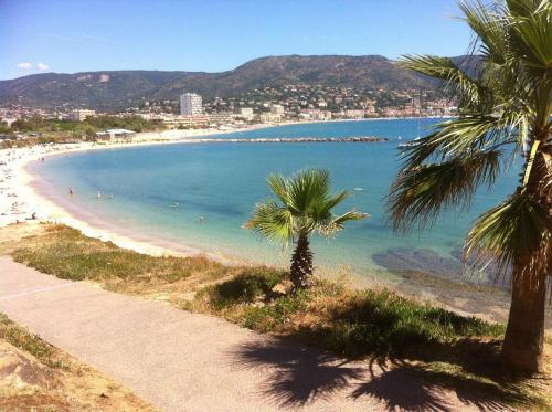 a beach with palm trees next to a beach at Studio climatisé avec une place de parking et classé 2 étoiles à la Faviére in Bormes-les-Mimosas