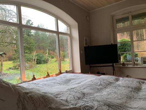 a bedroom with a bed and a large window at Waldhaus Jellen in Dobbertin