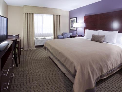 a hotel room with a large bed and a television at GrandStay Hotel & Suites Thief River Falls in Thief River Falls
