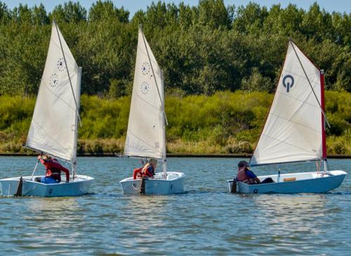 three small sailboats in the water on a lake at EnJoy Meer und See Ferienhaus -In Lauwersoog- 1-6 Pers- 3 Schlafzimmer in Lauwersoog