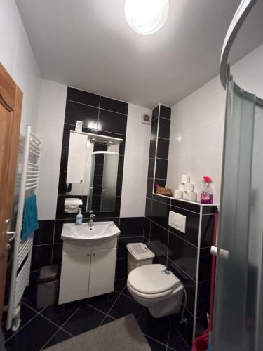 uma casa de banho em preto e branco com um WC e um lavatório em Apartman SARA em Sarajevo