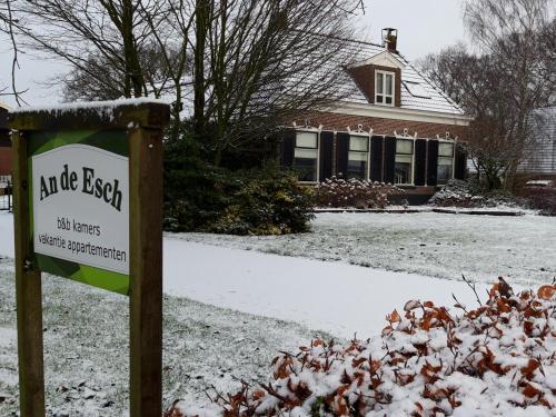 An de Esch durante el invierno