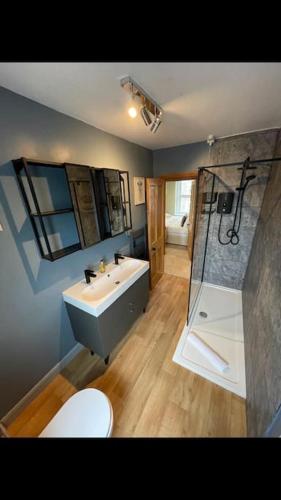 a bathroom with a sink and a shower and a toilet at Whole house in Wiltshire in Chippenham