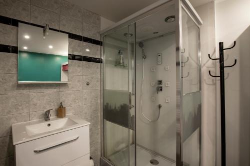 uma casa de banho com um chuveiro e um lavatório. em Au son des cigales em Avignon