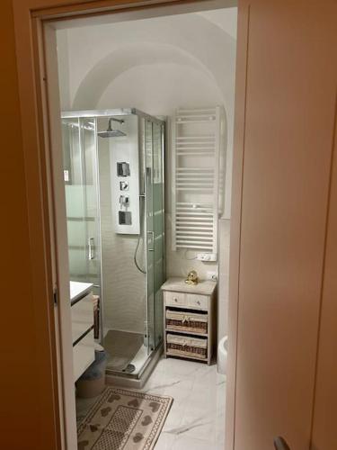 a bathroom with a walk in shower and a sink at Maison Petit Bonbon in Turin