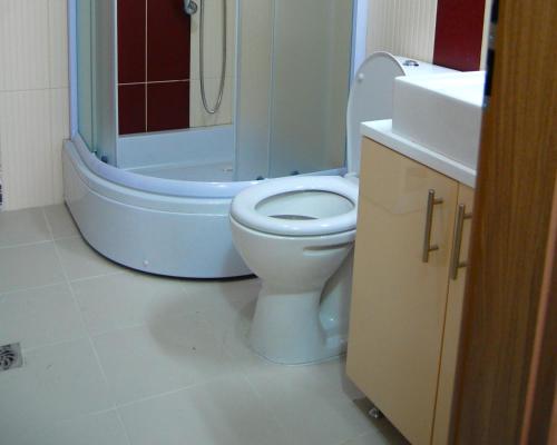 ein Bad mit einem WC, einer Dusche und einem Waschbecken in der Unterkunft Park Ej's Lake and Pool View A89 in Ohrid