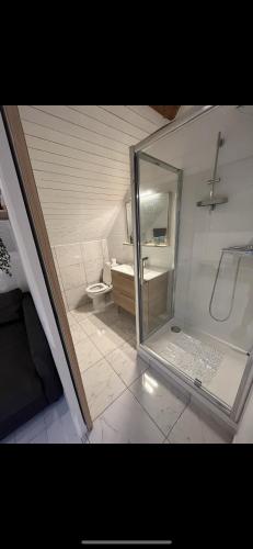 La salle de bains est pourvue d'une douche en verre et de toilettes. dans l'établissement Petit Appartement à Uriage, à Vaulnaveys-le-Haut